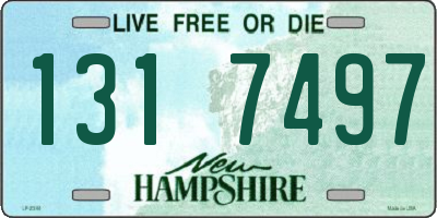 NH license plate 1317497