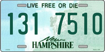 NH license plate 1317510