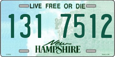 NH license plate 1317512