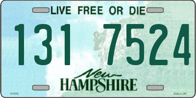 NH license plate 1317524