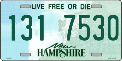 NH license plate 1317530