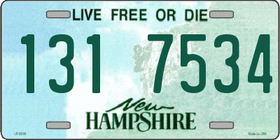 NH license plate 1317534