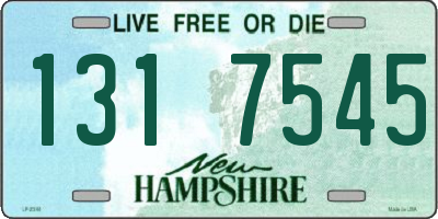NH license plate 1317545