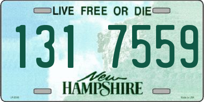 NH license plate 1317559
