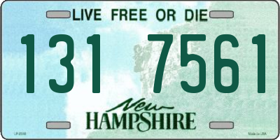 NH license plate 1317561