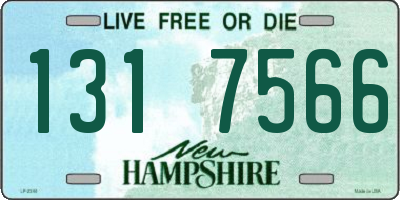 NH license plate 1317566