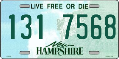 NH license plate 1317568