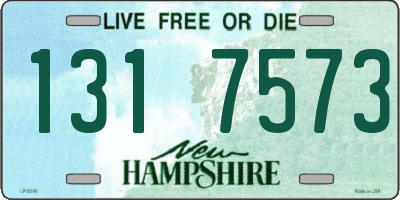 NH license plate 1317573