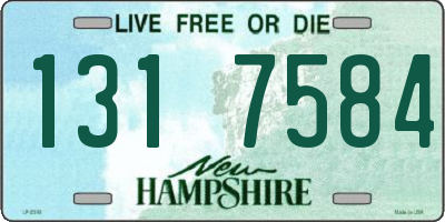 NH license plate 1317584