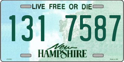 NH license plate 1317587