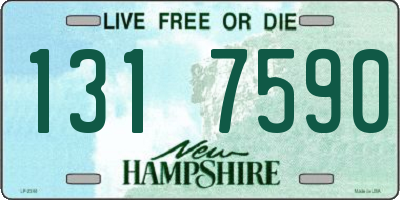 NH license plate 1317590