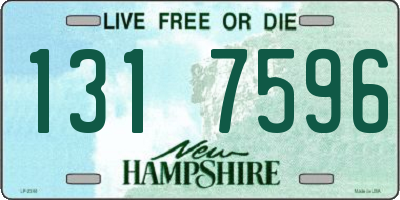NH license plate 1317596