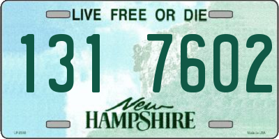 NH license plate 1317602