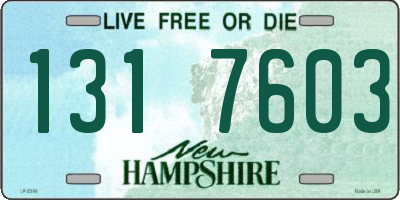 NH license plate 1317603