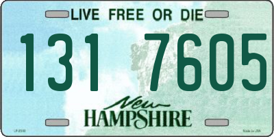 NH license plate 1317605