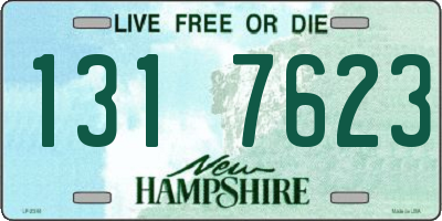 NH license plate 1317623