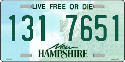 NH license plate 1317651