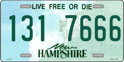 NH license plate 1317666