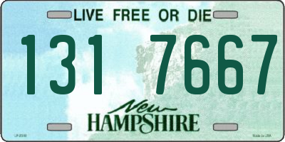 NH license plate 1317667