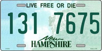 NH license plate 1317675