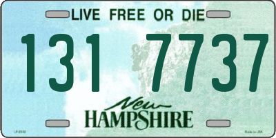 NH license plate 1317737
