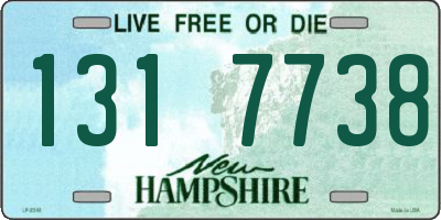 NH license plate 1317738