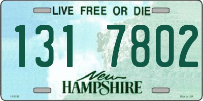 NH license plate 1317802