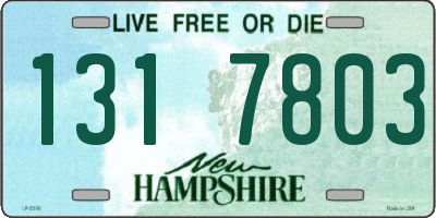 NH license plate 1317803