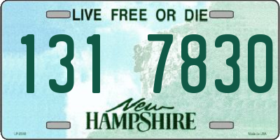 NH license plate 1317830