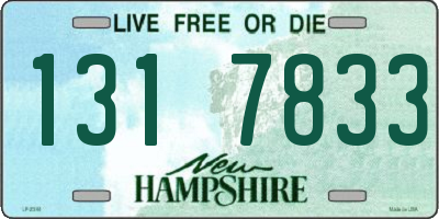 NH license plate 1317833