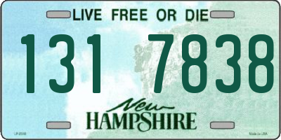 NH license plate 1317838