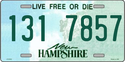 NH license plate 1317857