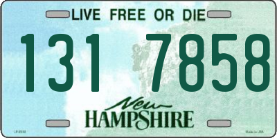 NH license plate 1317858