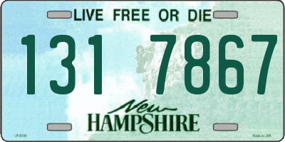 NH license plate 1317867