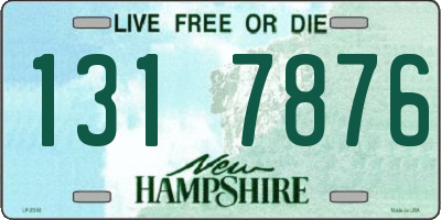 NH license plate 1317876