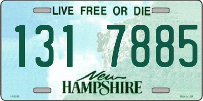 NH license plate 1317885