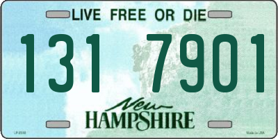 NH license plate 1317901