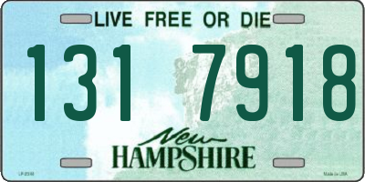 NH license plate 1317918