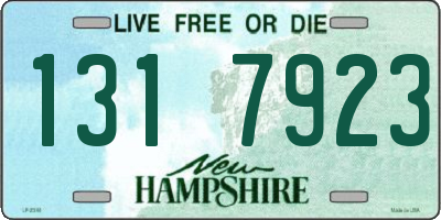 NH license plate 1317923