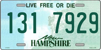 NH license plate 1317929
