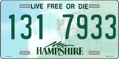 NH license plate 1317933