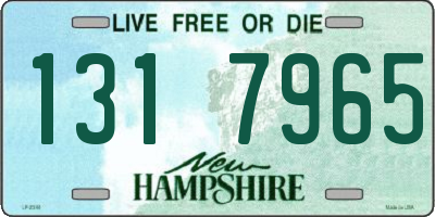 NH license plate 1317965