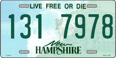 NH license plate 1317978