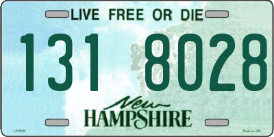 NH license plate 1318028