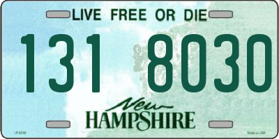 NH license plate 1318030
