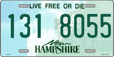 NH license plate 1318055