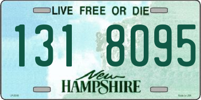 NH license plate 1318095