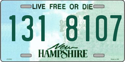 NH license plate 1318107