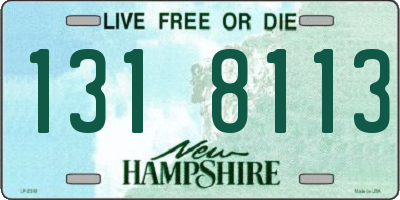 NH license plate 1318113
