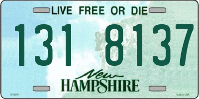 NH license plate 1318137